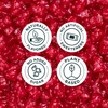 image:imageSmartSweets Cinnamon Bears Gummy Candy 18oz Pack of 14 Gummy Candy with Low Sugar Low Calorie No Artificial Sweeteners PlantBased GlutenFree Healthy Snack for Kids amp Adults